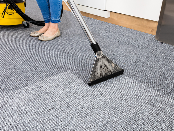 Image of carpet being cleaned