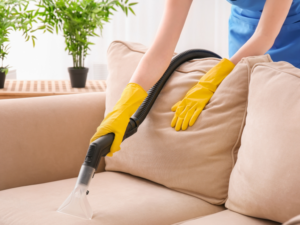 Image of someone cleaning a couch