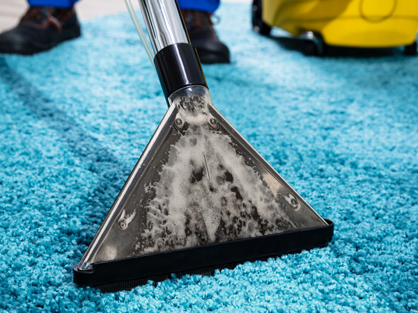 Image of carpet being cleaned