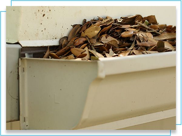 gutter full of leaves