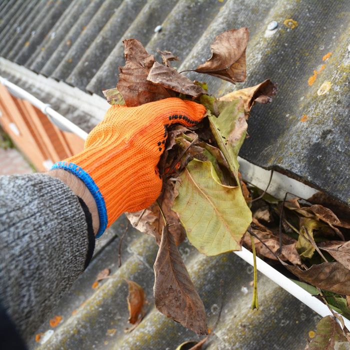 leaves being removed from a gutter