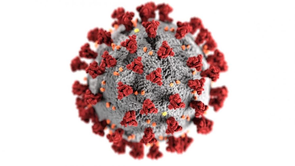 an image of the covid-19 virus