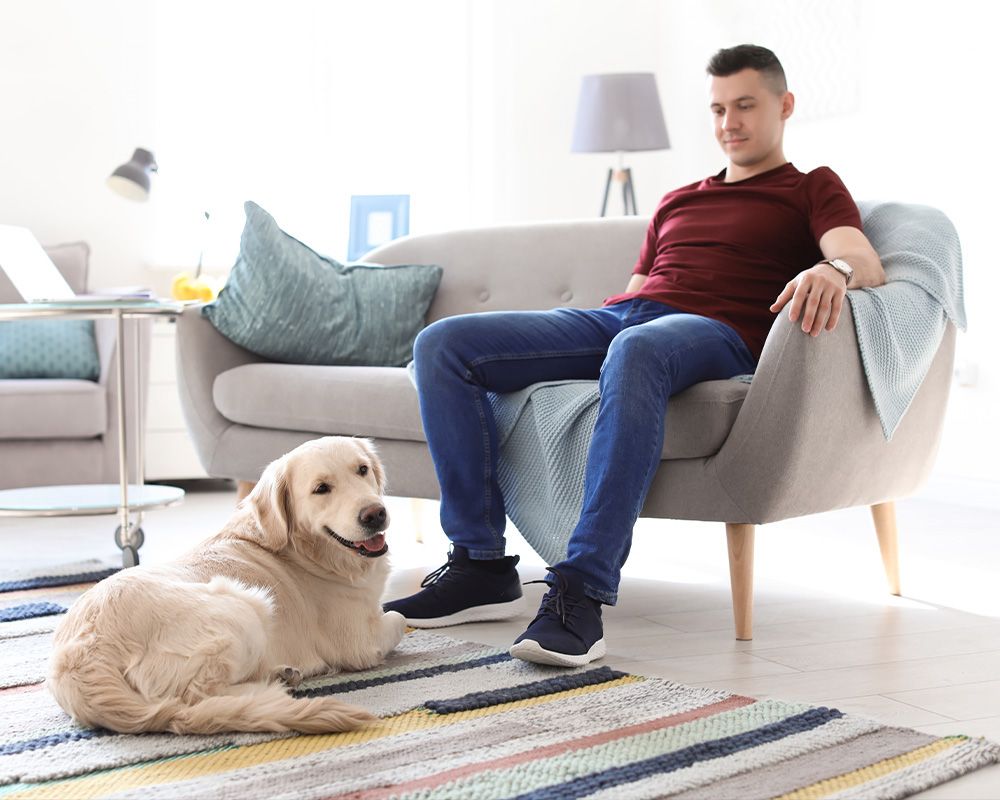 an image of a man and dog enjoying a clean home