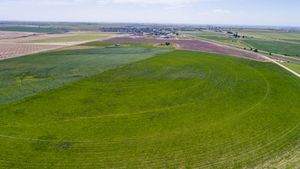 Aerial-7-59480a4ea7f3f-2000x1124.jpg