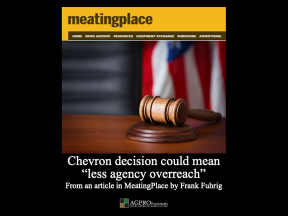 chevron doctrine meatingplace 1.png