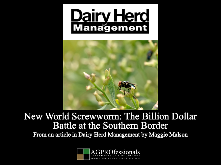 New World Screwworm- The Billion Dollar   Battle at the Southern Border  .png