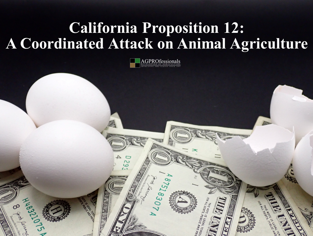 California Prop 12 A Coordinated Attack on Animal Agriculture