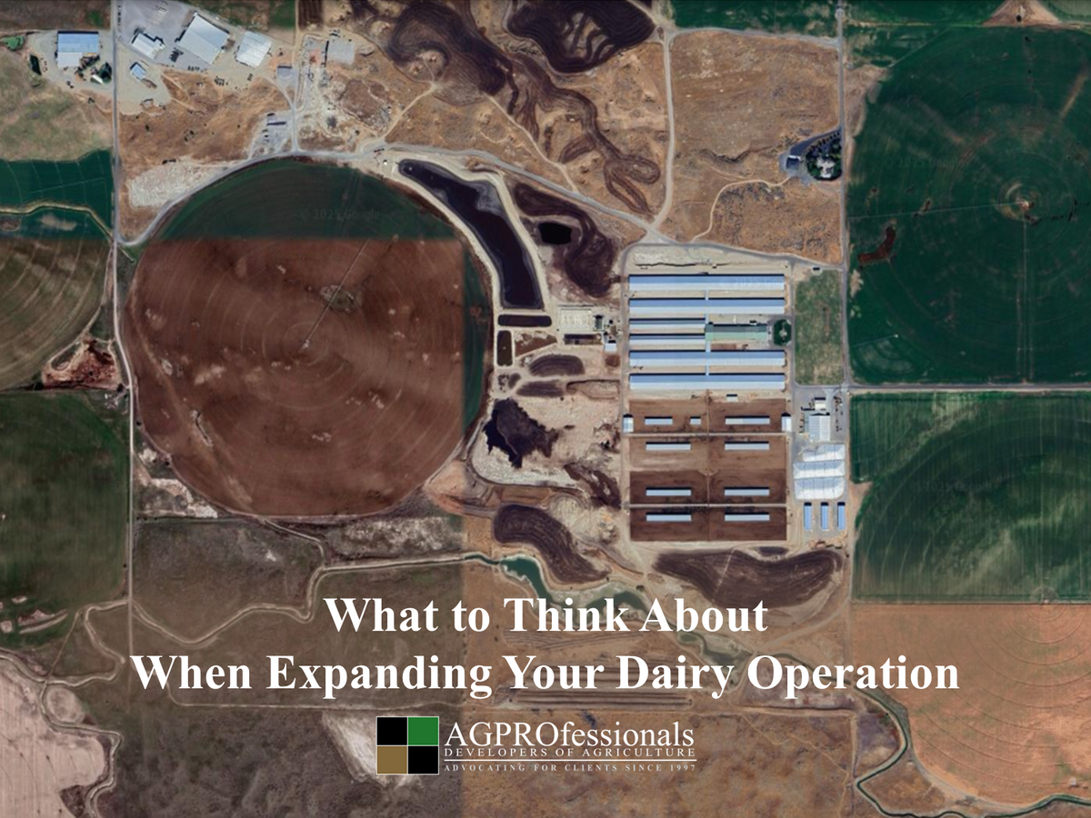What to think about when expanding your dairy operation