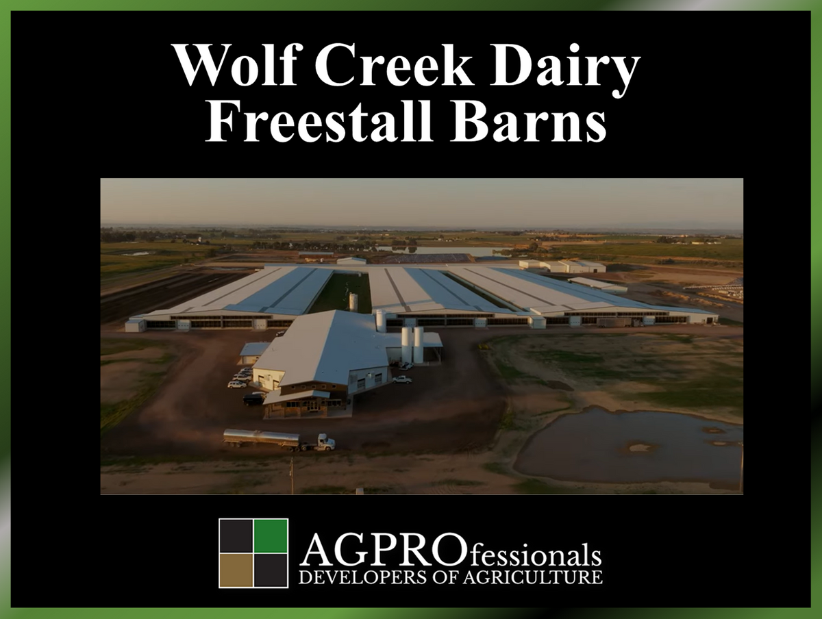 Wolf Creek Dairy - 12 Row Freestall Barn.png