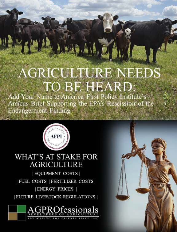 America First Policy Institute Amicus Brief - AGPROfessionals.png
