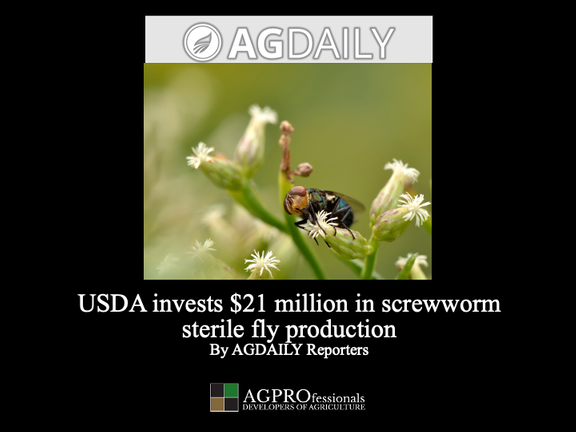 USDA invests $21 million in screwworm sterile fly production.png