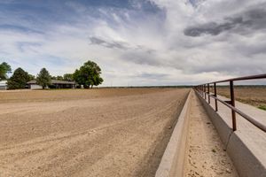 Feed-1-5924772a1cb55-2000x1335.jpg