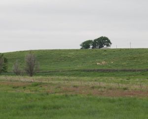 Vona-CO-132-Acre-Ranch_3-845x684-160928-57ebc24f83bd9.jpg