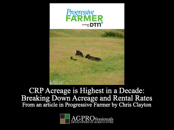 CRP acreage highest in a decade.png