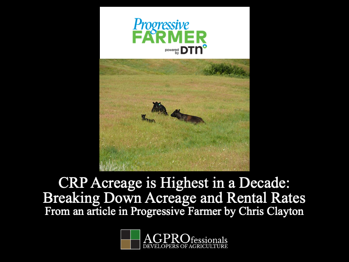 CRP acreage highest in a decade.png