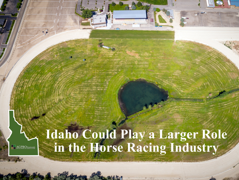 Idaho Could Play a Larger Role in the Horse Racing Industry - AGPROfessionals.png