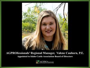 Cauhorn Appointed to Idaho Cattle Association Board