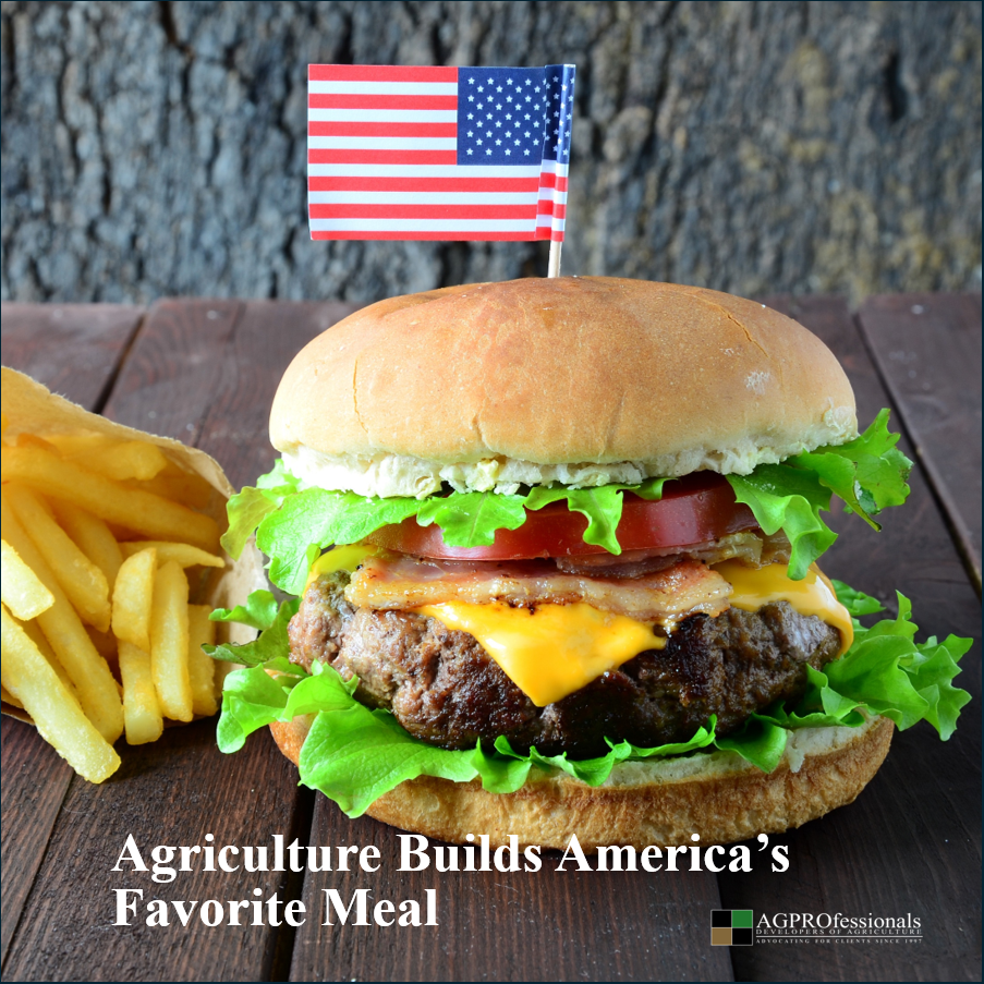 Agriculture, Cheeseburgers, French Fries, and America’s 250th Birthday

From Pasture to Plate, Agriculture Builds America’s Favorite Meal