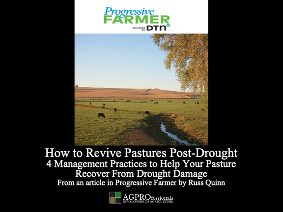 How to revive pastures post drought consult.png