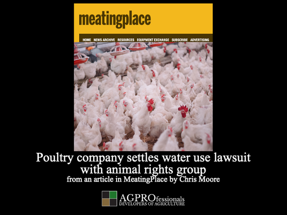 Poultry company settles water use lawsuit with animal rights group.png