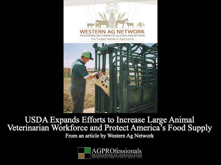 USDA Expands Efforts to Increase Large Animal Veterinarian.png