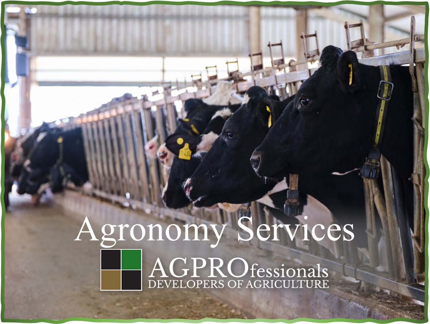 Agronomy Consulting - Sustainable Agriculture - AG Professionals