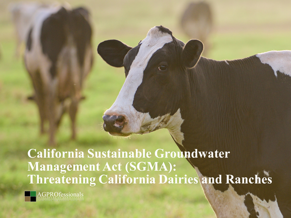 California Sustainable Groundwater Management Act - SGMA - AGPROfessionals - Dairies - Ranches.png