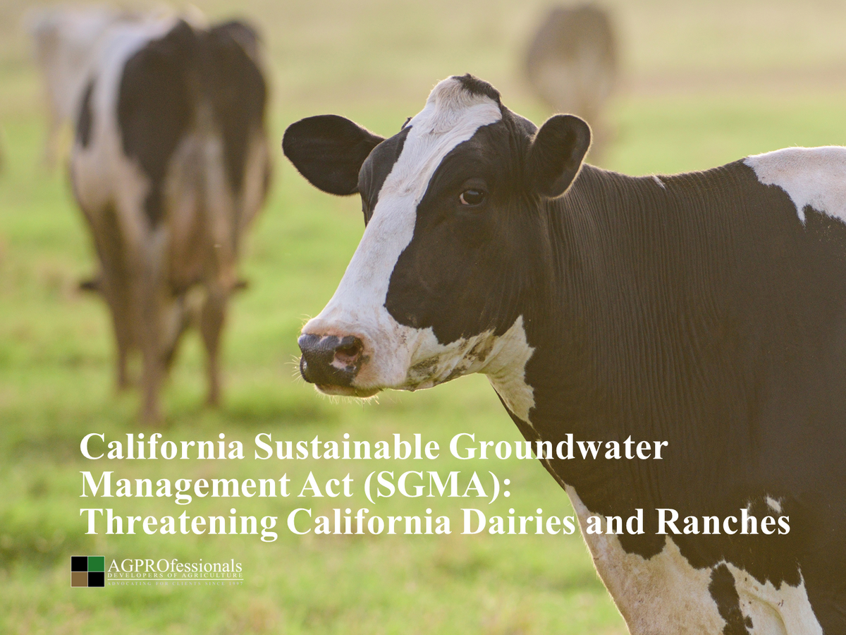 California Sustainable Groundwater Management Act - SGMA - AGPROfessionals - Dairies - Ranches.png