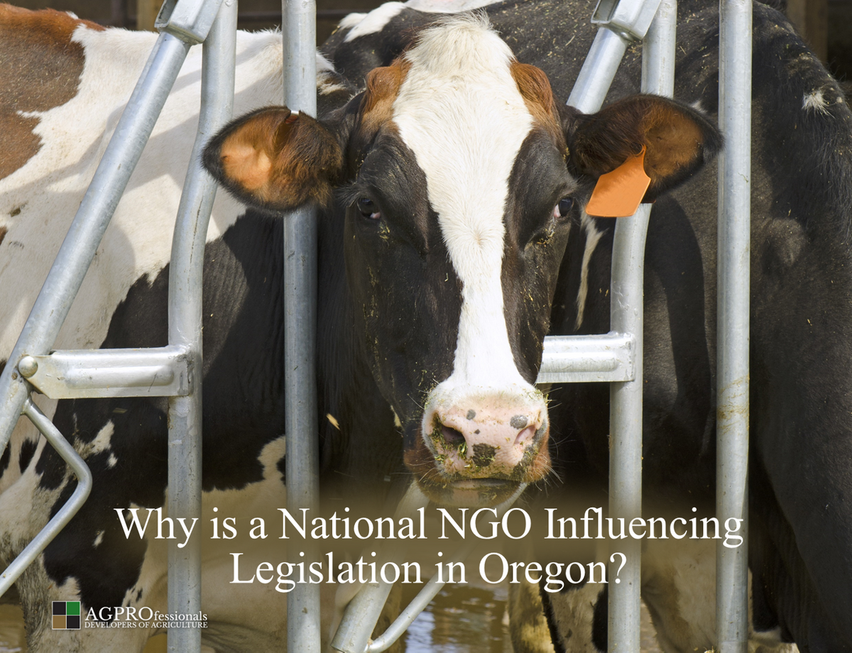 Why is a National NGO Influencing Legislation in Oregon