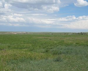 Vona-CO-132-Acre-Ranch_6-845x684-160928-57ebc25a1aa99.jpg