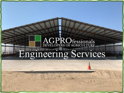 AGPROfessionals Services - Engineering.png