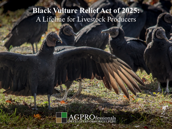 AGPROfessionals - Black Vulture Relief Act of 2025.png