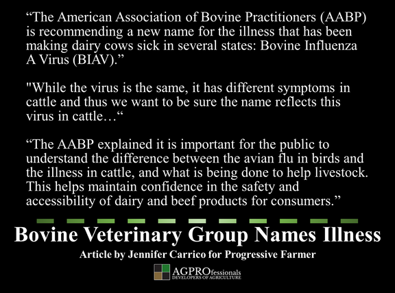 Bovine Veterinary Group Names Illness