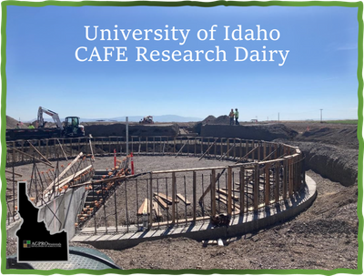 University of Idaho CAFE Research Dairy - AGPROfessionals.png