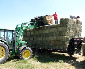 Keenesburg-CO-25-160923-57e54da66be11._14AcresDryFarm7845x684.jpg