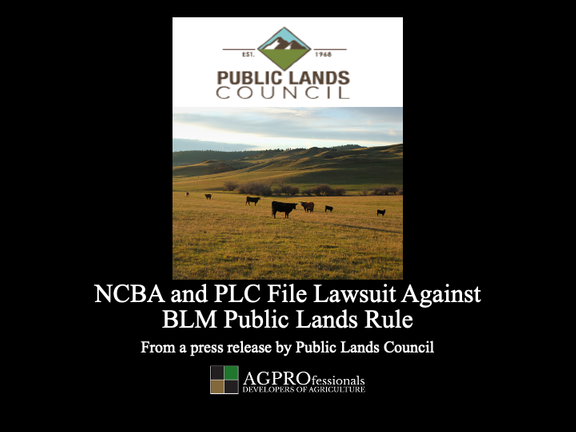 NCBA and PLC file lawsuit consult.png