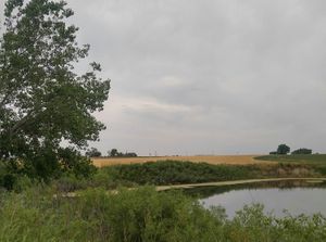 Keenesburg-CO-161-160923-57e55159c997e._11AcresIrrigatedFarm2.jpg