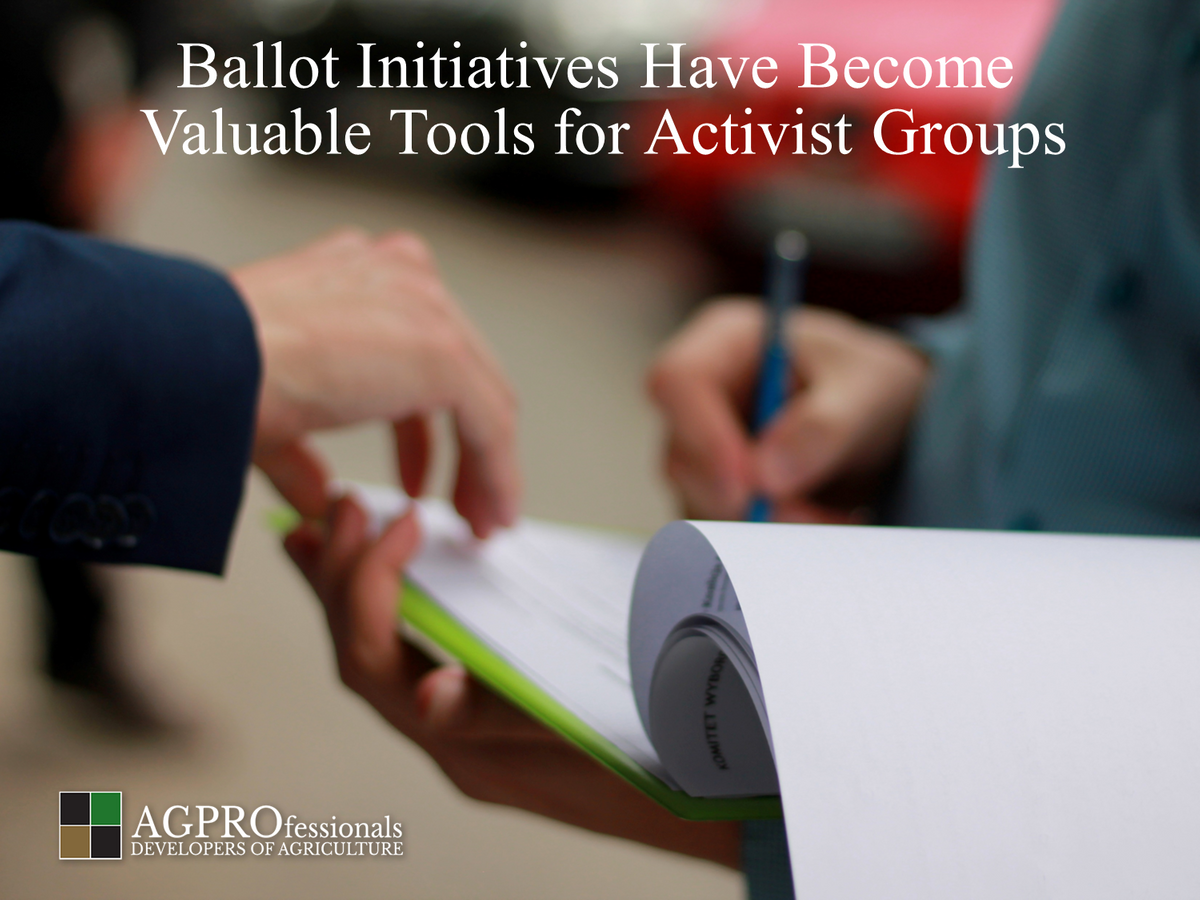 Ballot Initiatives Are Tools for Activist Groups