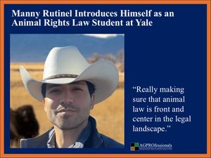 yale law.jpg