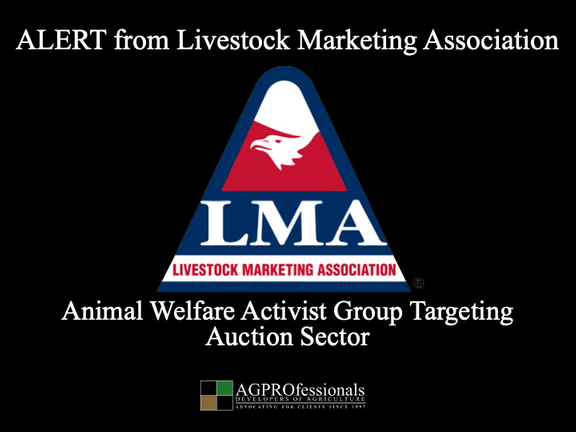 Animal Welfare Activist Targeting Auction Sector.png