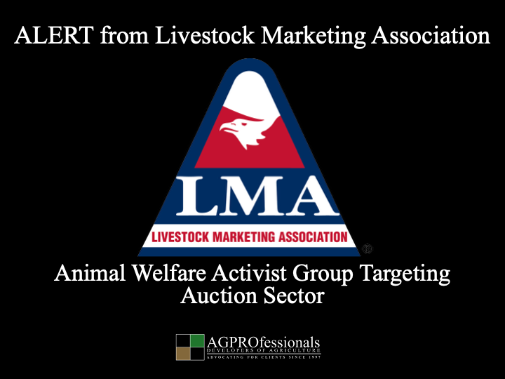 Animal Welfare Activist Targeting Auction Sector.png