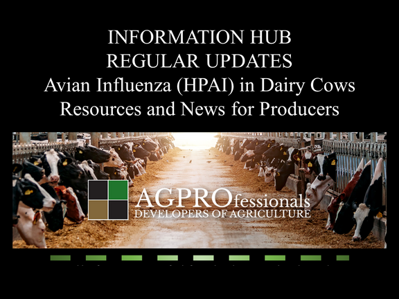 Information Hub - Avian Influenza in Dairy Cows