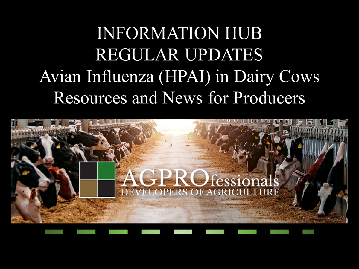 Information Hub - Avian Influenza in Dairy Cows