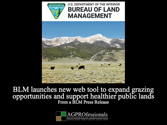 BLM launches new web tool to expand grazing opportunities and support healthier public lands.png