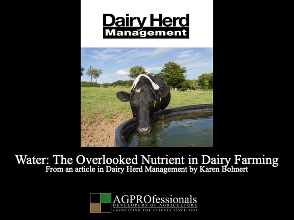 Water- The Overlooked Nutrient in Dairy Farming.png