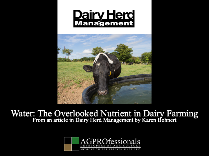 Water- The Overlooked Nutrient in Dairy Farming.png