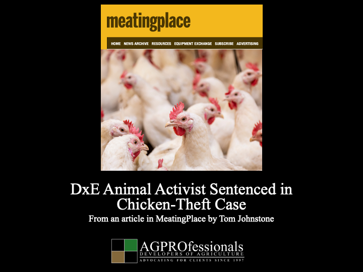 DxE Animal Activist Sentenced in   Chicken-Theft Case  .png