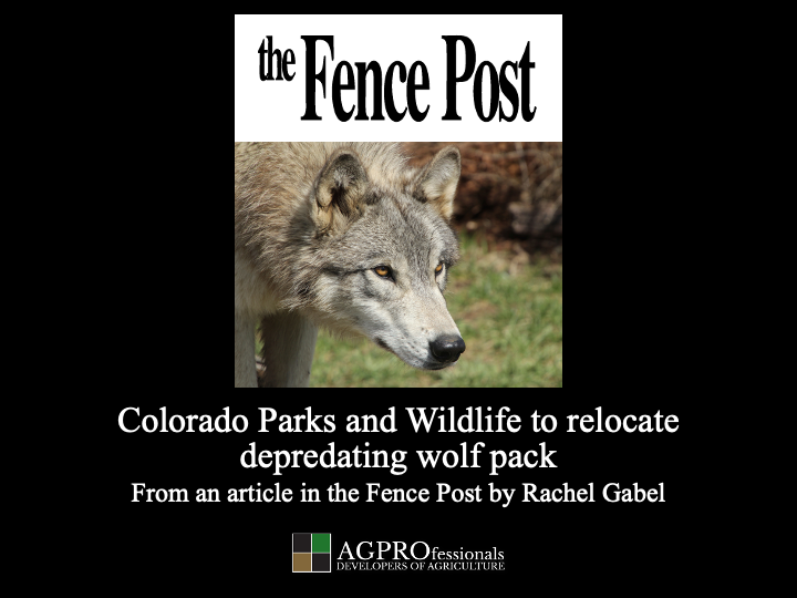 CPW to relocate depradating wolf pack.png