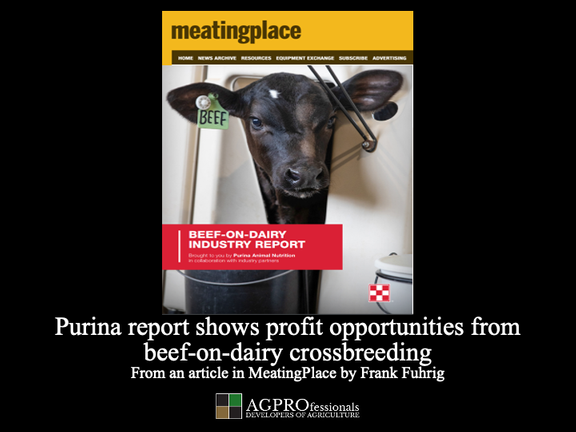 purina report shows profit opportunities con.png