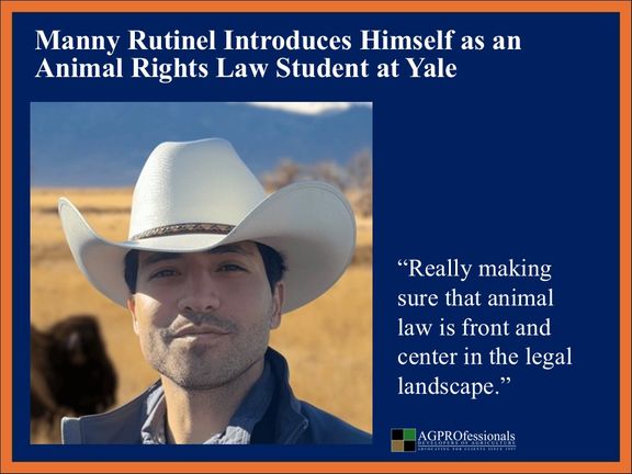yale law.jpg